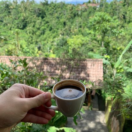 Los cafés más raros del mundo: descubre sus sabores únicos